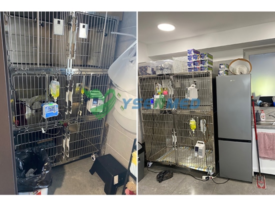 La mascota húngara está contenta con las jaulas veterinarias de acero inoxidable para mascotas suministradas por YSENMED.