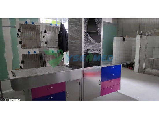 Equipos veterinarios YSENMED instalados en una nueva clínica veterinaria en España