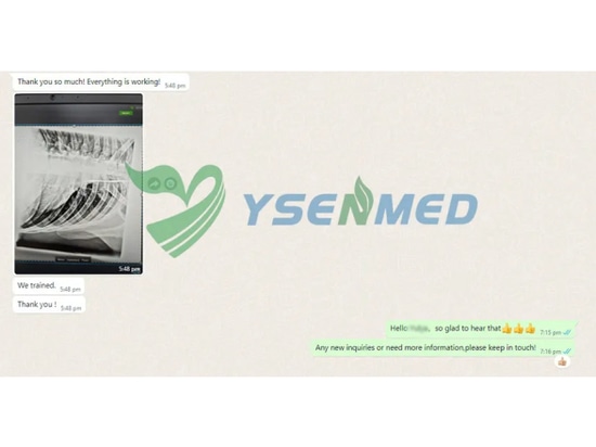 La unidad DR veterinaria portátil YSENMED YSX056-PE VET está funcionando bien en una clínica veterinaria en Rusia.