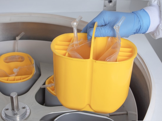 Blue Force 12L R: la centrífuga potente, precisa y ecológica para los laboratorios actuales