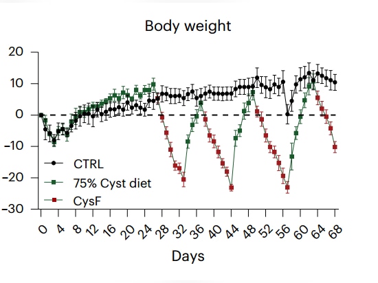 Fig. 1. J mostrando ratones Cth-/- alimentados con dieta control (negro), o alternativamente 75% cisteína (línea verde) con dieta libre de cisteína (línea verde con puntos rojos).