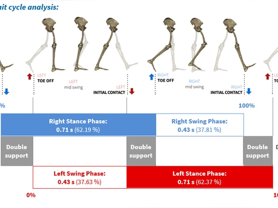 sistema 3DMA: una valiosa herramienta en biomecánica clínica