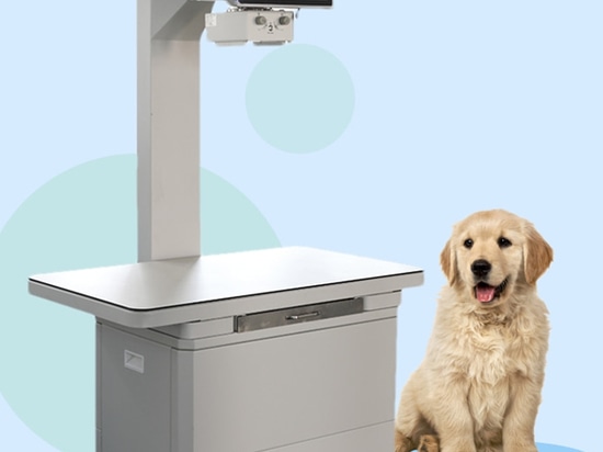 Máquina de rayos X veterinaria, ¡una gran ayuda para el diagnóstico preciso de mascotas!