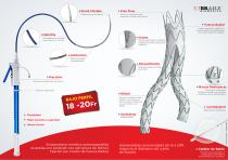 LINUS ® ENDOPRÓTESIS STENT-GRAFT - 2