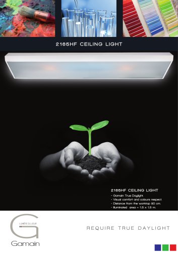 2165HF CEILING LIGHT