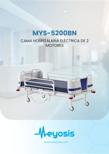 Cama de Hospital El&eacute;ctrica de 2 Motores