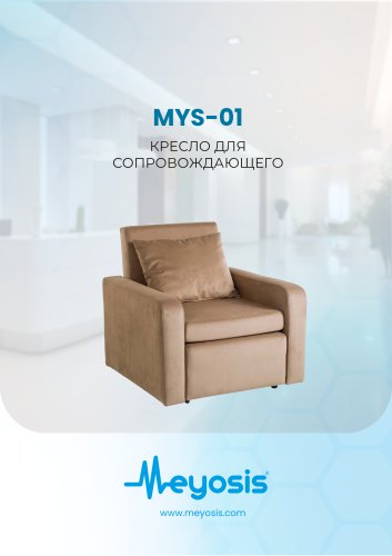Silla individual para acompa&ntilde;ante (sof&aacute; cama)