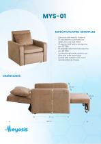 Silla individual para acompañante (sofá cama)-2