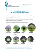 SIMULACIÓN DE DEFICIENCIAS VISUALES Y PATOLOGÍAS OCULARES-1