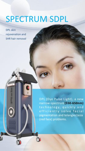 DPL Vertical