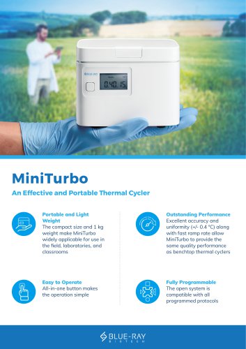 MiniTurbo Flyer