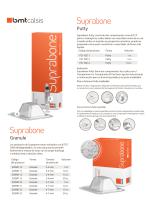 Bone Grafts_Product Catalogue_ESP - 2