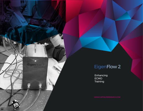 EigenFlow 2