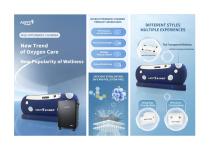Mild Hyperbaric Chamber and Chamber Oxygen Supply Unit