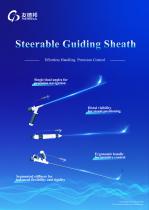 Steerable Guiding Sheath