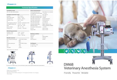  Itrason Small animal veterinary anesthesia workstation DM6B