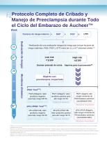 Leaflet in Spainish-3