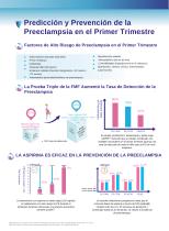 Leaflet in Spainish-4