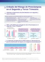 Leaflet in Spainish-5