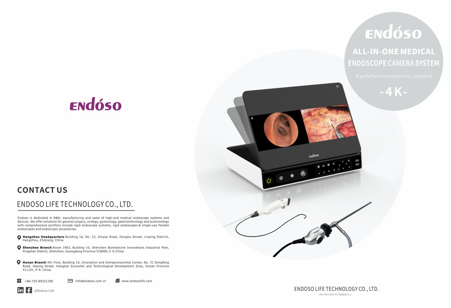 Endoscopy video processor - Endoso Life Technology
