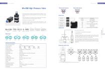 Mrv-01B High Pressure Valve