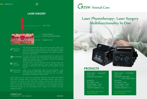 JZGGD002 Laser Physiotherapy