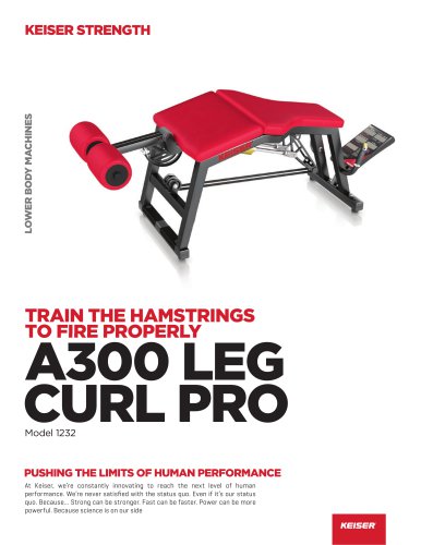 A300 Leg Curl Pro