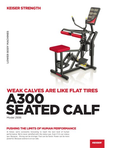 A300 Seated Calf Machine