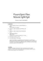 FluoroSpot Flex : Mousse IgM/IgA