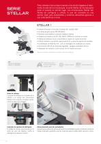 FOCUS ON EDUCATION - Catalogue-8