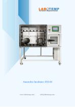 Anaerobic Incubator ANI-04