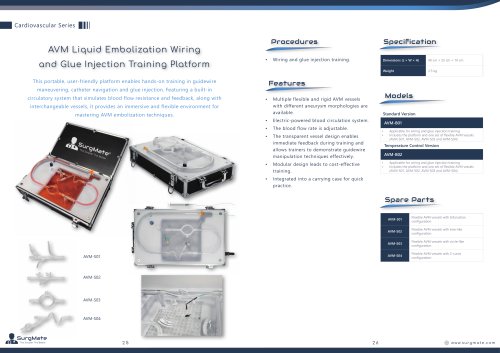 AVM Liquid Embolization Wiring and Glue Injection Training Platform