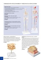 Catálogo Ciencias Naturales - 10