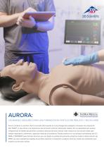 IngMar Sellsheet Aurora - 1