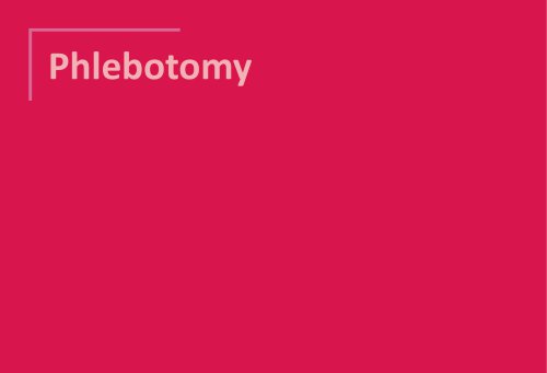 Phlebotomy 2024