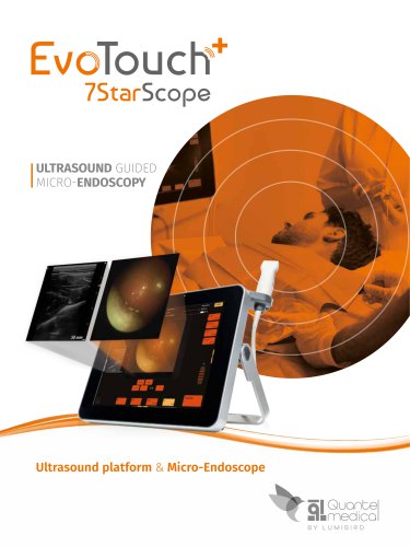 EvoTouch+7StarScope: Ultrasound guided Micro-Endoscopy