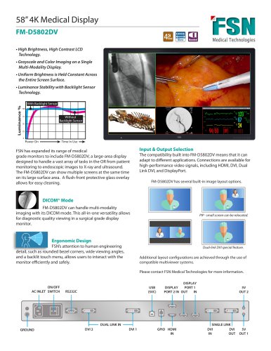58" 4K Monitor 8MP