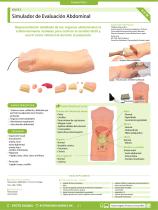 MW43 Simulador de Evaluación Abdominal