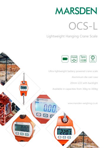 Marsden OCS-L Crane Scale