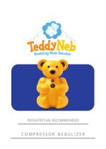 TeddyNeb-2