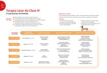 Sistemas láser veterinarios-2