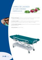 CARRO DE LAVADO-1