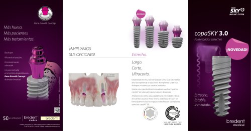 copaSKY 3.0 &ndash; Flyer