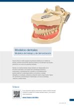 gama de productos 2020 - 2021 - 3