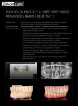 Galeria de casos Prettau® 2 Dispersive®-2