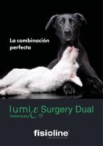 Lumix Surgery Dual Veterinary