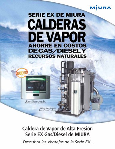 Caldera de Vapor de Alta Presión