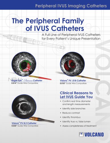 PVFamily DataSheet platinum