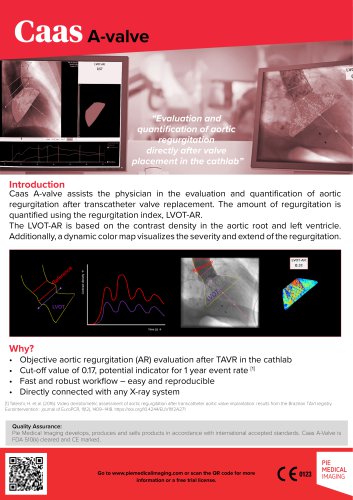 CAAS A-Valve brochure