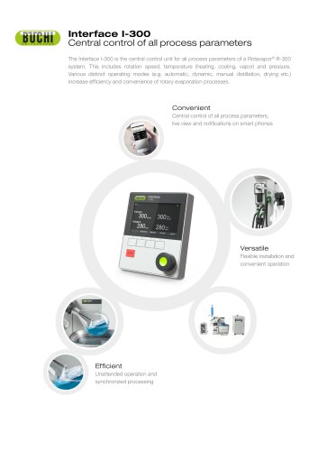 Interface I-300